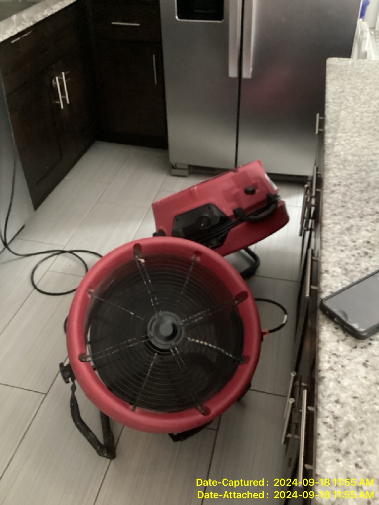 Mold in your rental