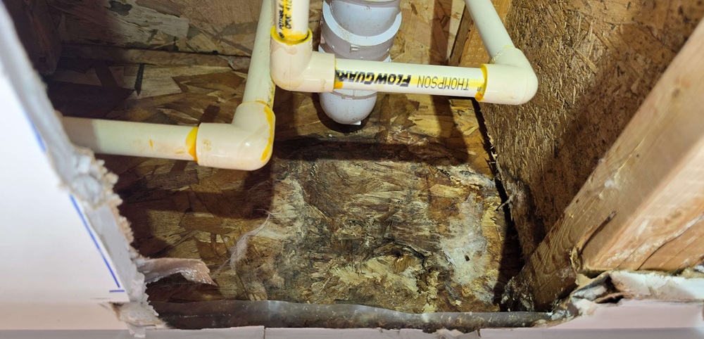 mold under bathroom