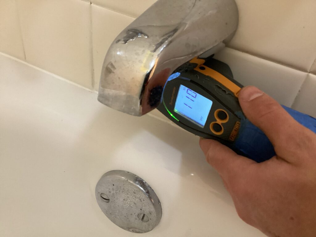 hidden mold