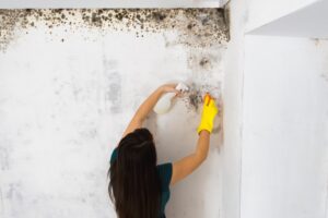 How Fast Does Mold Grow After Water Damage?