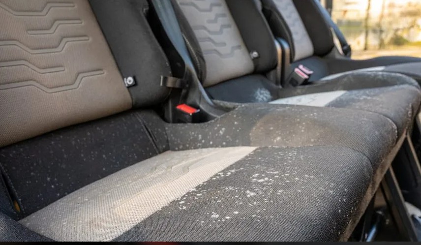 Mold in Your Car: Causes, Risks, and Proven Solutions