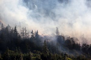 wildfire