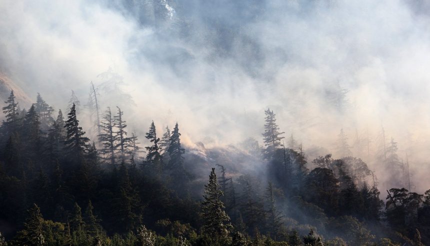 wildfire