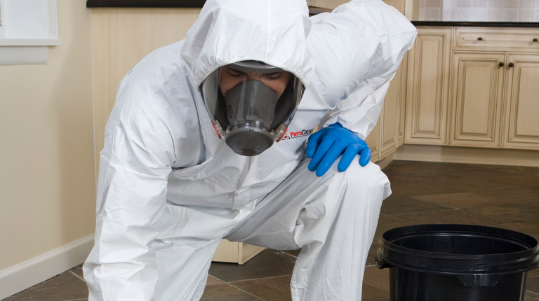 PuroClean Biohazard Cleanup in New Paltz