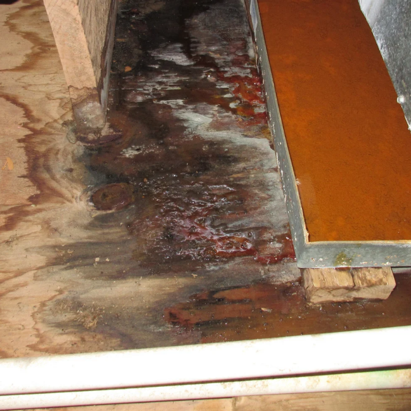 Water Damage Remediation in Rhinebeck, NY