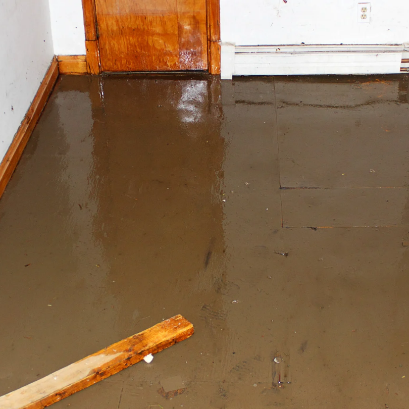 Water Damage Remediation Services in Saugerties NY | 24/7 Emergency Response