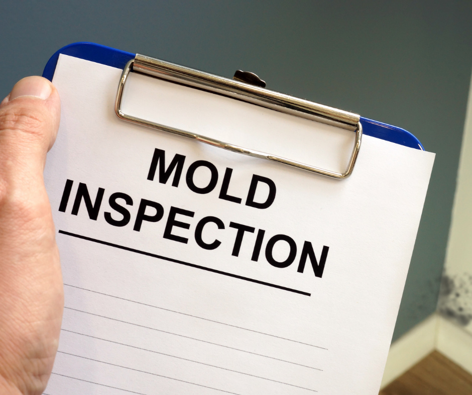 mold