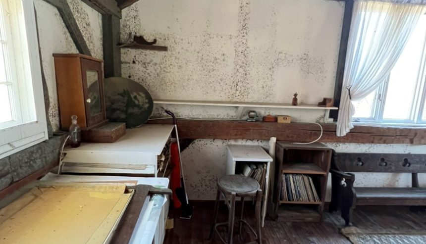 Mold-Law-NY-Article-32