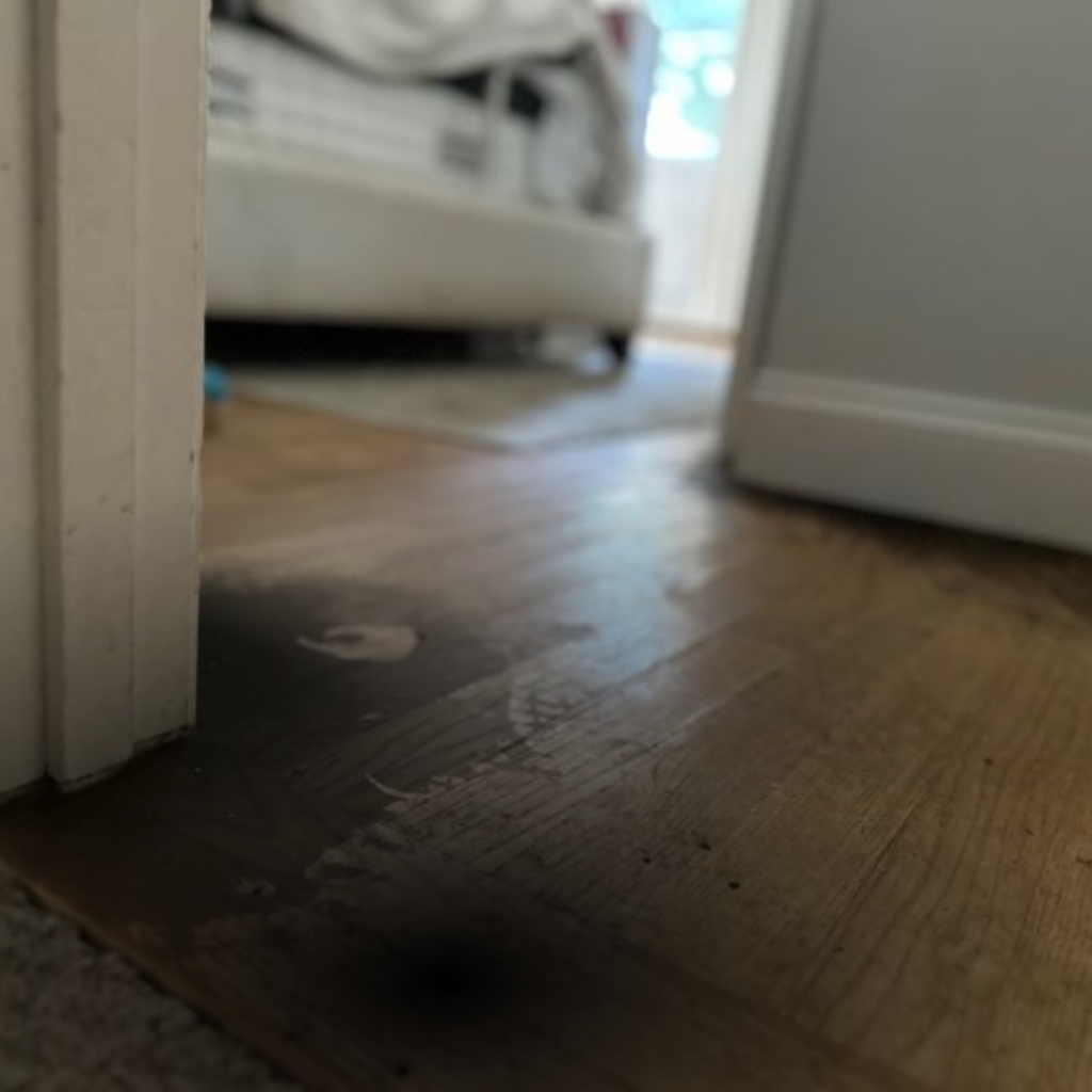 Property Damage Restoration in Saugerties NY