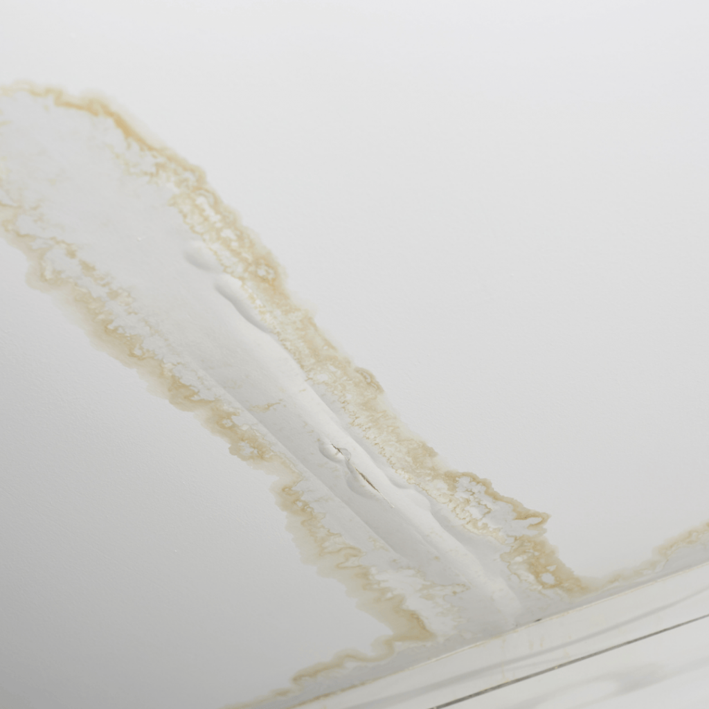 Property Damage Restoration in Rhinebeck NY