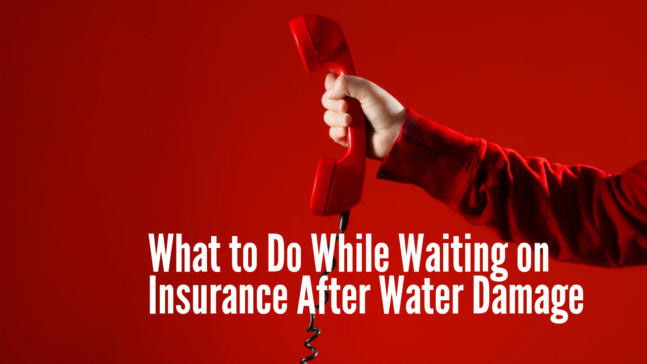 What to Do While Waiting on Insurance After Water Damage