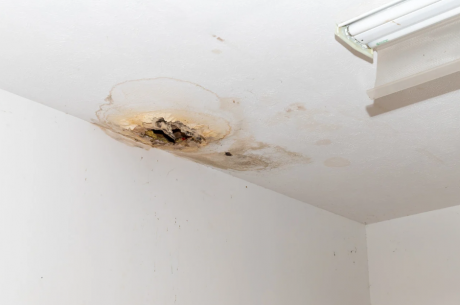 Ceiling Stains in Poughkeepsie NY: What They Mean and When to Act