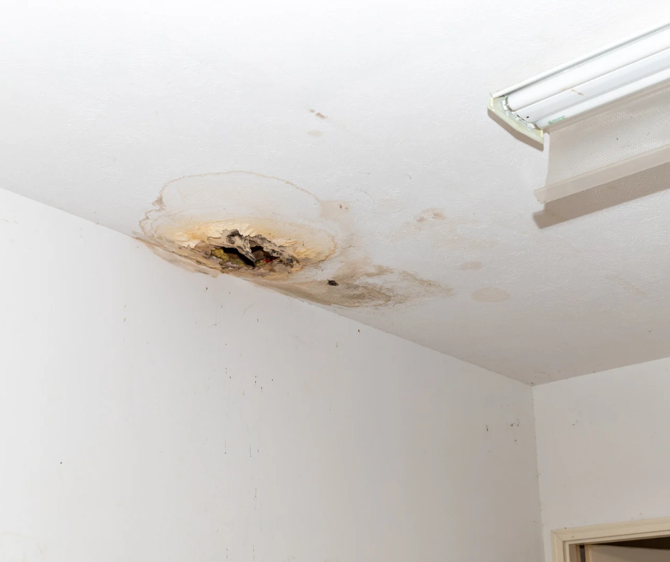 Ceiling Stains in Poughkeepsie NY