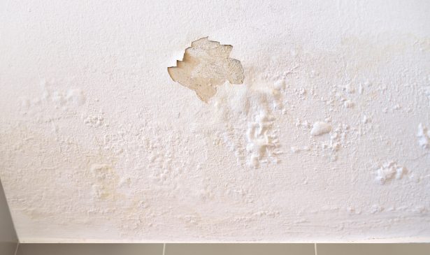 How to Repair Water-Damaged Drywall