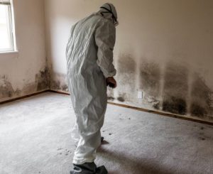Will My Insurance Cover Mold Remediation After Water Damage_