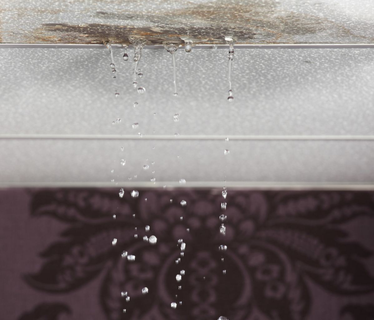What To Do Immediately After Emergency Water Damage in Powhatan, VA