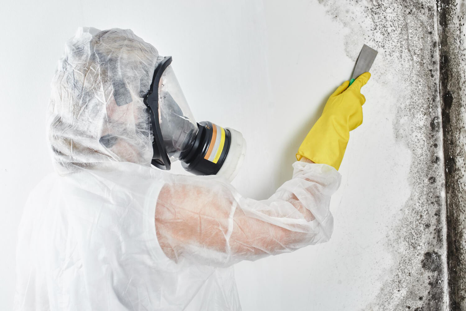 Mold Removal and Remediation Services in Midlothian, VA