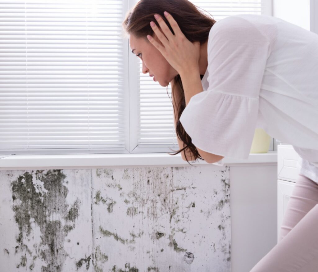 Understanding the Science of Mold