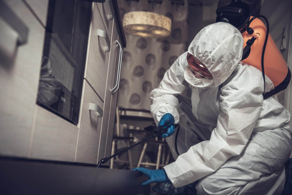 Professional technician sanitizing a contaminated indoor space.