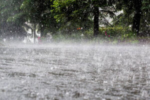 Heavy rain splashes on a wet paved road with lush green trees in the background. TITLE