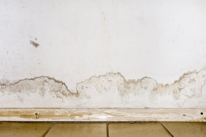 Mold growth can appear on sites of old water damage.