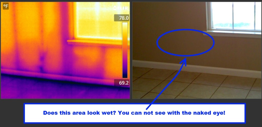 thermal imaging