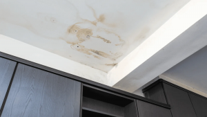 Close-up of a small ceiling stain beginning to spread outward