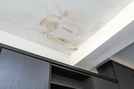 Close-up of a small ceiling stain beginning to spread outward