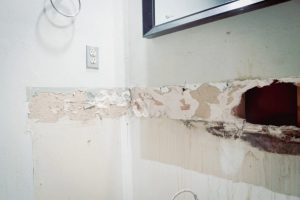 Mold discovered behind removed drywall during inspection of a bathroom leak