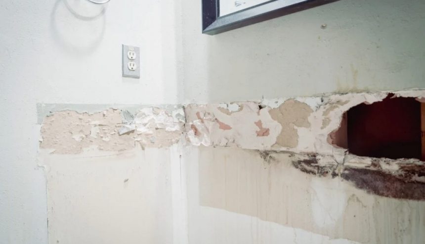 Mold discovered behind removed drywall during inspection of a bathroom leak