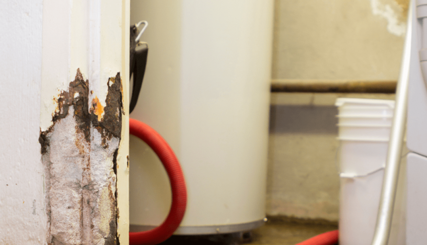 Water Mitigation Service