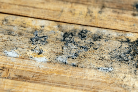 Hidden mold growth found on furniture in a Rancho Cucamonga bedroom
