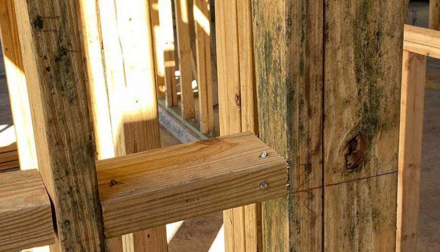 New construction framing with trapped construction moisture creating mold risk in a post-wildfire rebuild home in Rancho Cucamonga CA requiring professional mold removal