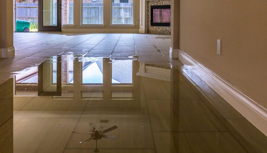 Professional mold remediation involves protective equipment and specialized cleaning methods to restore safe living conditions