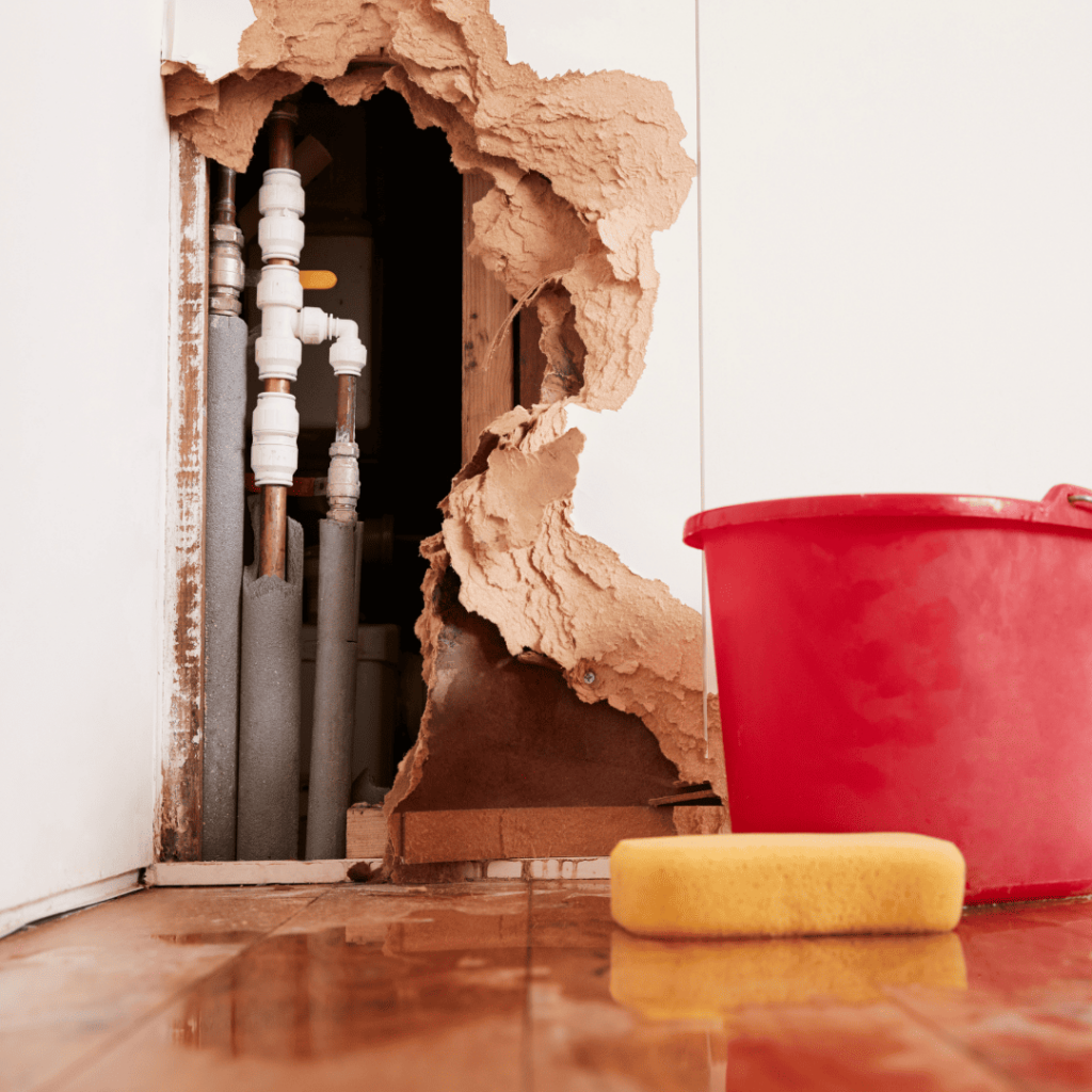 water damage cleanup