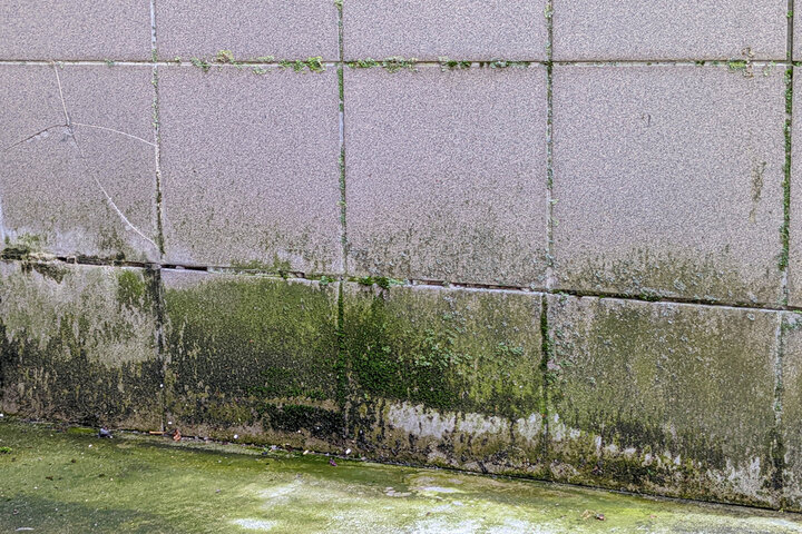 Water damage on bricks.