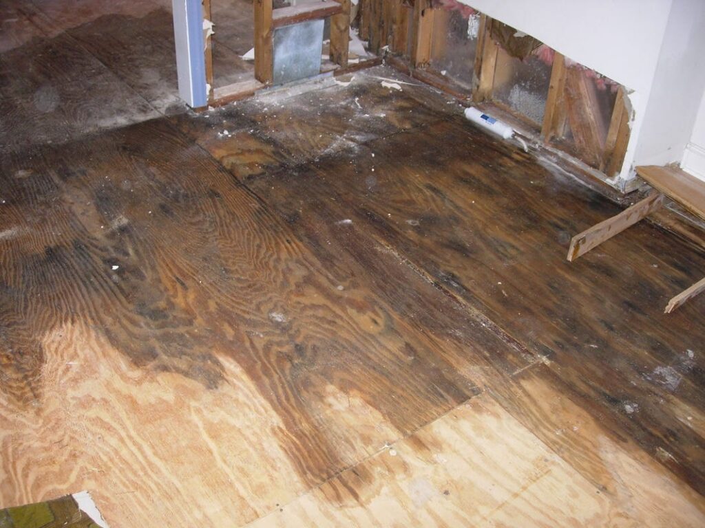 Buckling hardwood floor and wall mold growth in a Rancho Cucamonga CA home indicating incomplete water mitigation company work requiring professional remediation