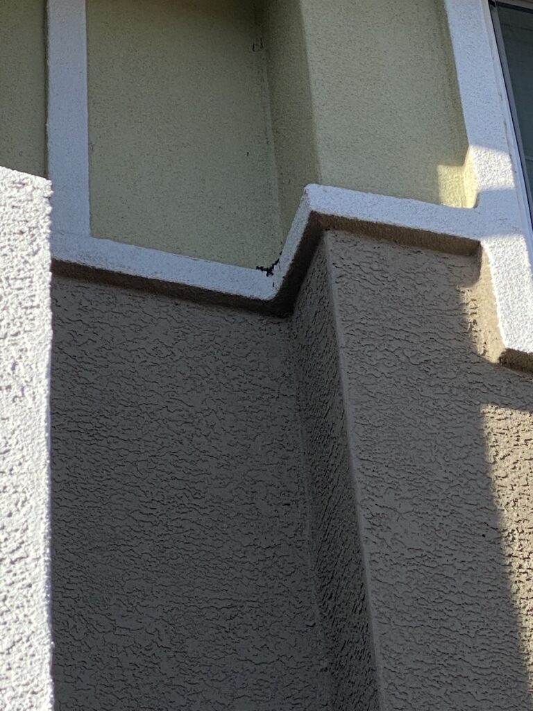 Mold and Biohazard cleanup in Reno