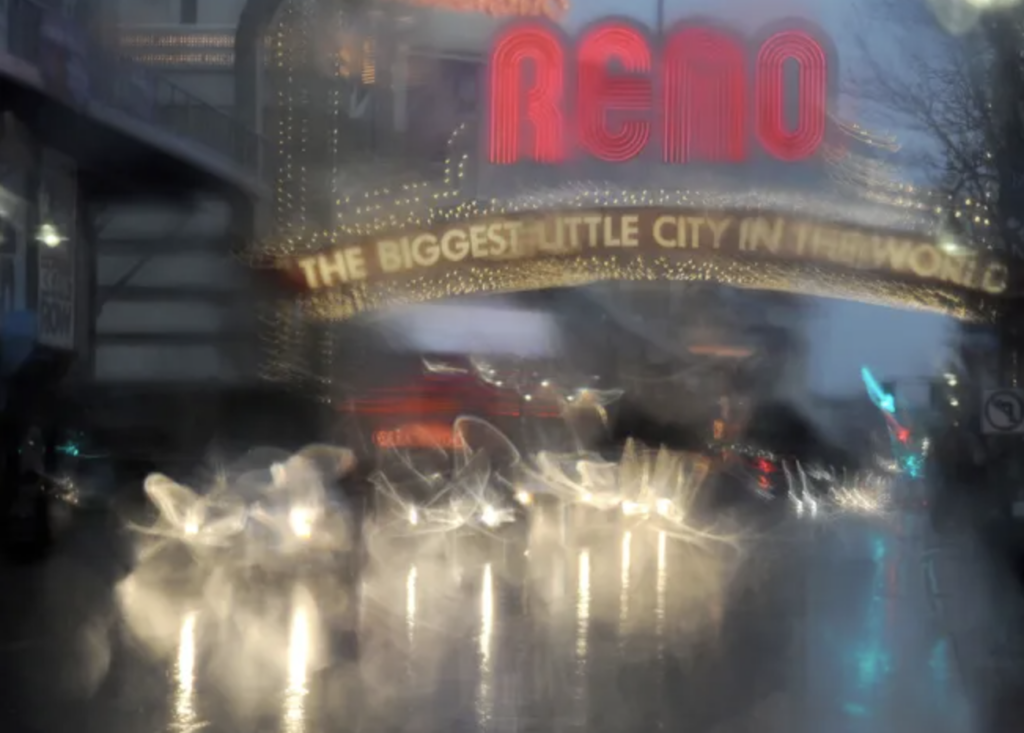 reno mold cleanup