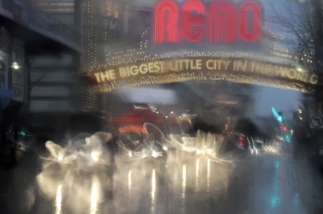 reno mold cleanup