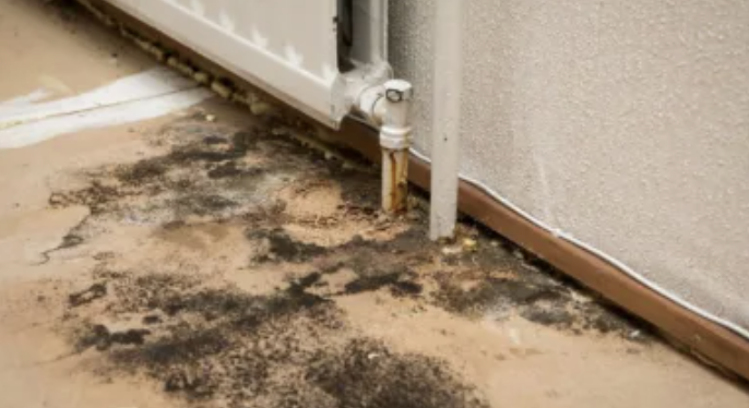 Mold
