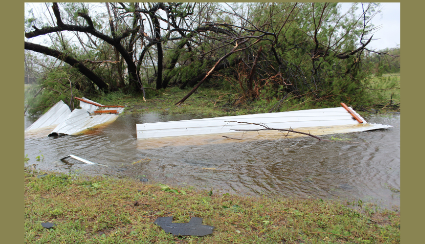 Understanding Water Damage: Why “Clean” Isn’t Always Safe. Read our 2026 guide to identifying water contamination and preventing mold growth in your home.