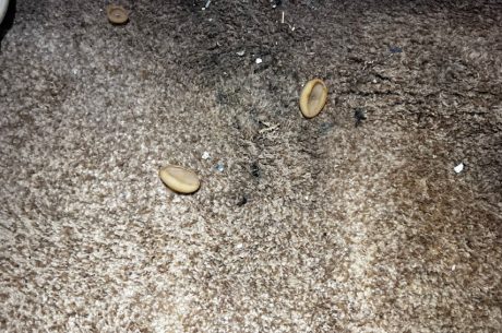 The Hidden Home Issue We Never Expected to Find in Our Bedroom