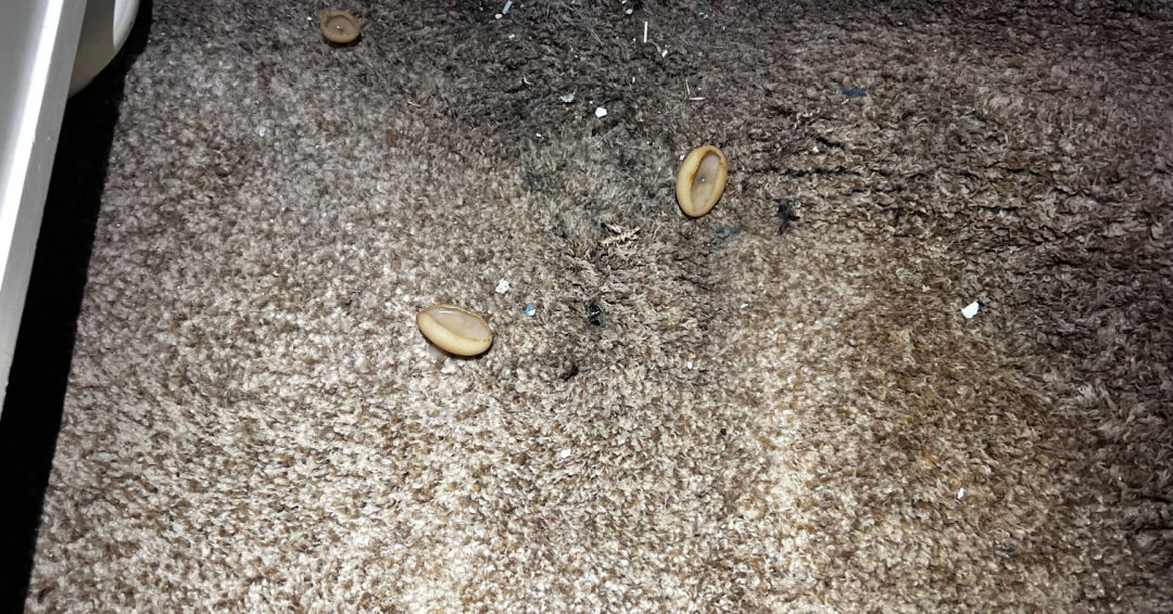 The Hidden Home Issue We Never Expected to Find in Our Bedroom