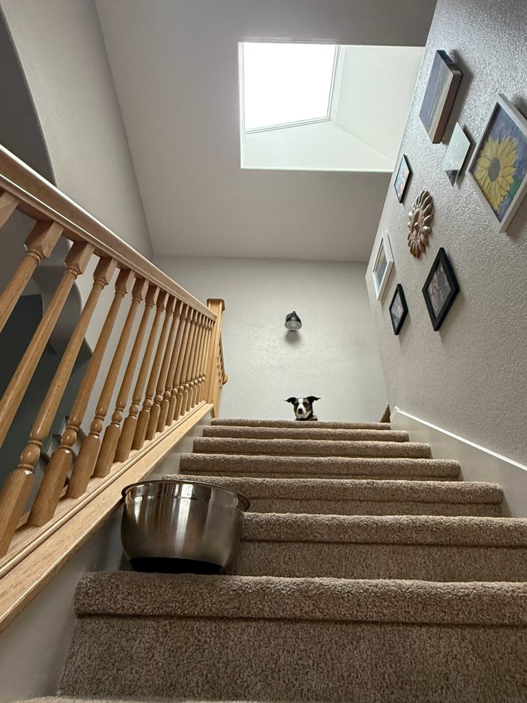 Hidden Water Damage from heavy rain