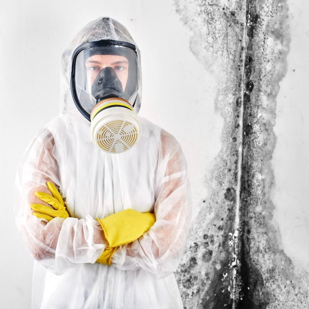 DIY Mold Remediation When Is It Safe