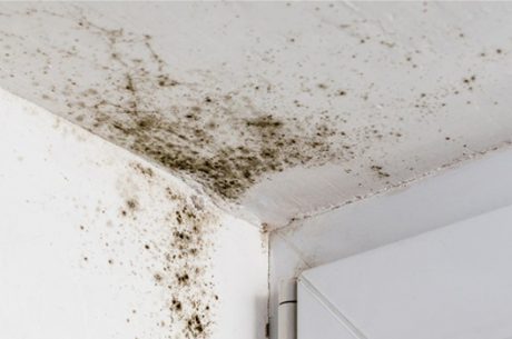 Close-up of early mold growth forming along a bathroom ceiling corner