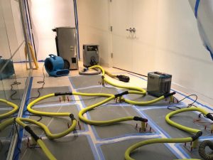 water restoration technicians working inside residential home Ridgewood New Jersey