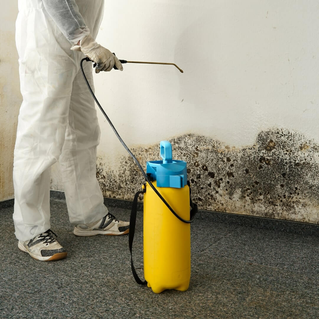 The Ultimate Guide to Mold Remediation Protect Your Home Now