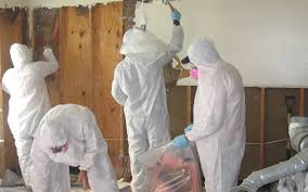 https://www.puroclean.com/ridgewood-nj/services/biohazard-cleanup/